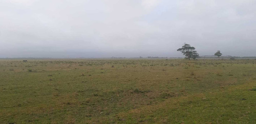 Venta Campo Chacra Rocha Cabo Polonio 20 Hectáreas Ruta 10