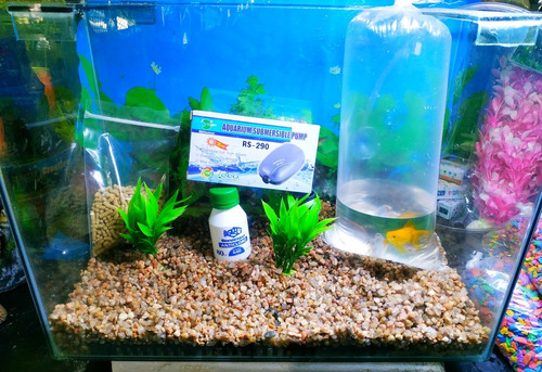 Kit Pecera Completa 50x35x20 Con 1 Pez De Regalo!