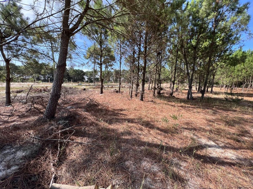 Imagen 8 de 12 de Venta Terreno Lomas De Solymar Canelones