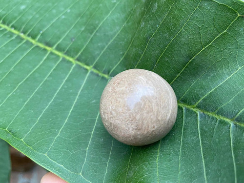 1 Esfera Onix Cafe Piedra Relajante Masaje Worry Stone
