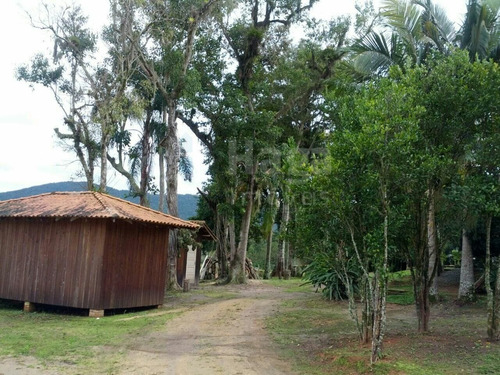 Imagem 17 de 30 de Chácara À Venda No Bairro Cerro - Camboriú/sc - 1654c