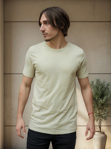 Remera Basica Algodon Hombre Lisa Premium Regular Fit