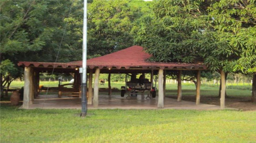 Imagen 4 de 12 de En Venta Finca Enel Pao Cojedes Ybra
