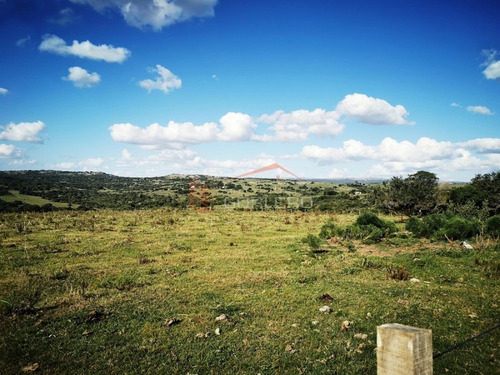 Campo Ganadero En Venta En Maldonado, A 60 Km De Punta Del Este- Ref: 26296