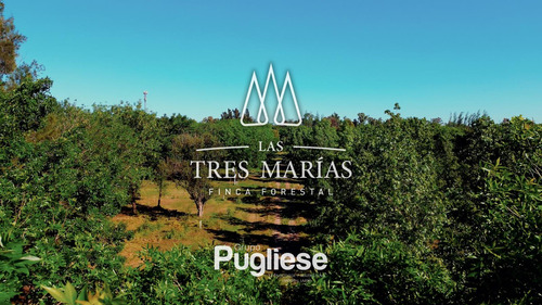 Terreno En Venta En Moreno
