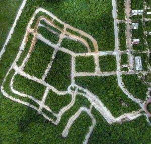 Imagen 4 de 16 de Proyecto De Lotes En Venta Tulum