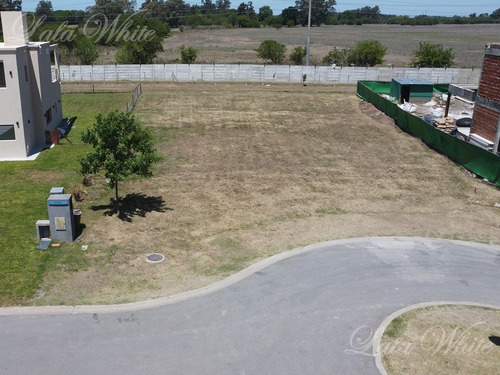 Imagen 4 de 13 de Venta - Lote En Terralagos