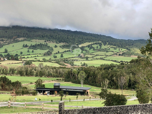 Acceso Al Lago Y Vista Al Volcán, Puerto Varas