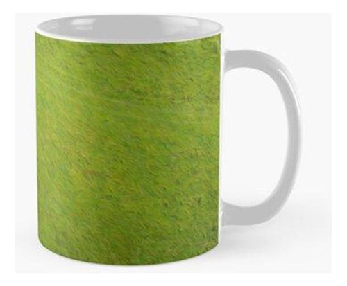 Taza Hierba Verde Caballos Animales Fotografía Aérea Calidad