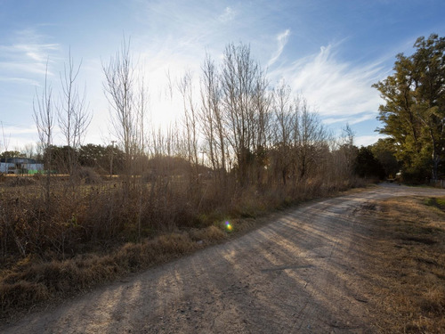 Imagen 12 de 16 de Lote | Ruta Nac. N° 8 112