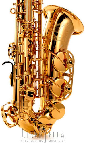 Saxo Alto Yamaha Yas-480 Yas480 Nuevo Indonesia Cuotas