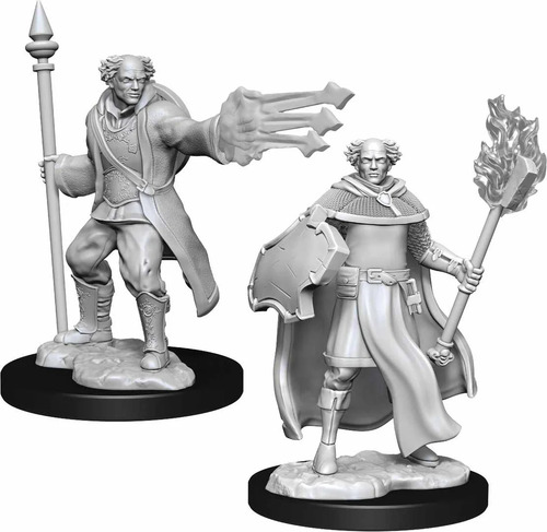 D&d Nolzur's Marvelous Miniatures Multiclass Cleric + Wizard