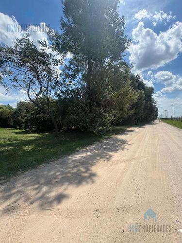 Venta Lote Coronel Brandsen Campos De Roca