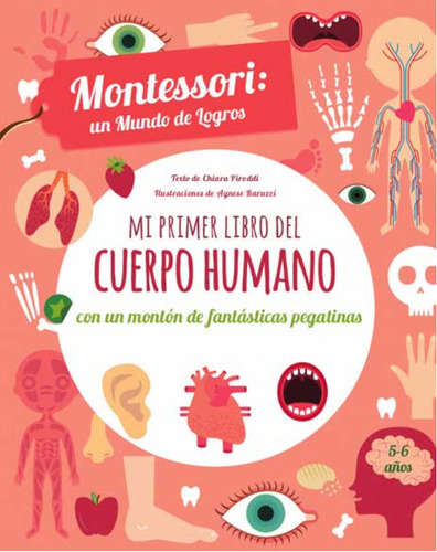 Mi Primer Libro Del Cuerpo Humano - Vv Aa 