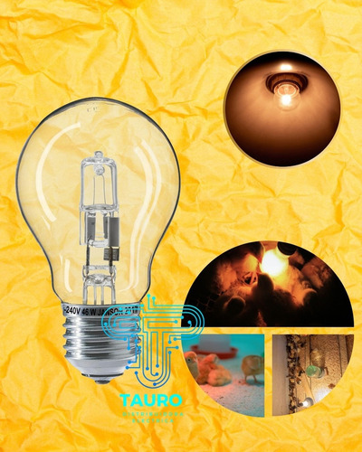 Foco De Halógeno 72w Incandescente Pack C/10 Pzas Luz Blanco Cálido