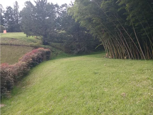 Lote Campestre En Venta En La Vía Don Diego La Ceja- El Chuscal