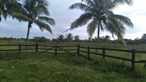 Venta De Terreno 1 H En Playa Zapote Ver. Para Inversionistas