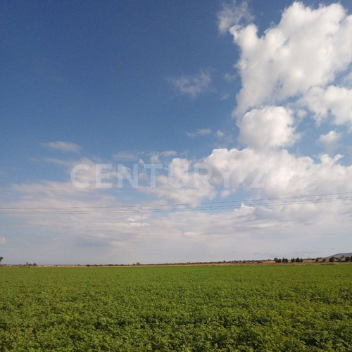 Rancho En Venta La Colorada 1 Panuco Zacatecas