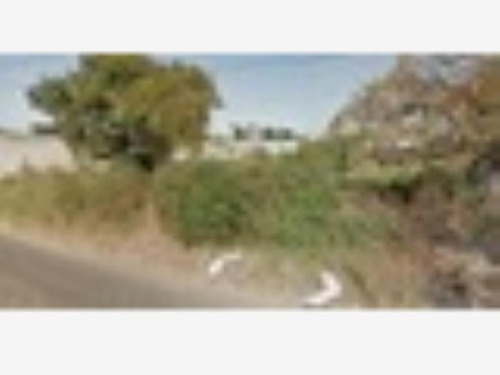 Imagen 2 de 4 de Terreno En Venta Mata De Pita
