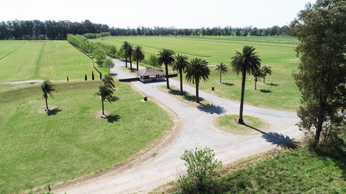 Imagen 2 de 30 de Gran Oportunidad!!! Venta De Lotes En Technopolo- Listos Para Construir!!