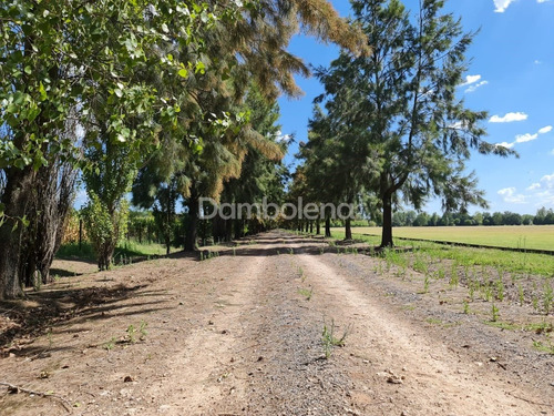 Imagen 23 de 30 de Campo En Venta - General Rodríguez - G.b.a. Zona Oeste