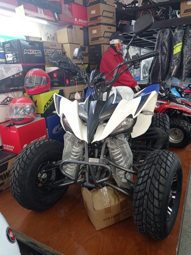 Motomel Mx 250 Full