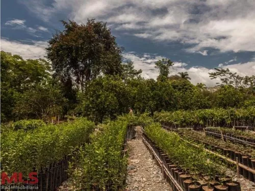 Encantador Lugar, Con Un Diseño Artístico(mls#238626)