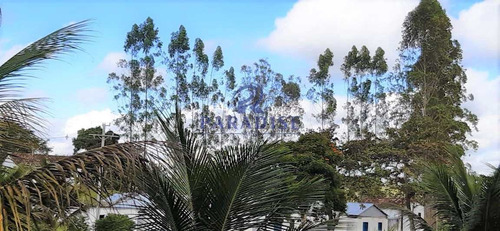 Imagem 27 de 30 de Fazenda Em Itabuna, Frente Para Br 101-160 Ha- R$ 10.000.000,00 - V65800