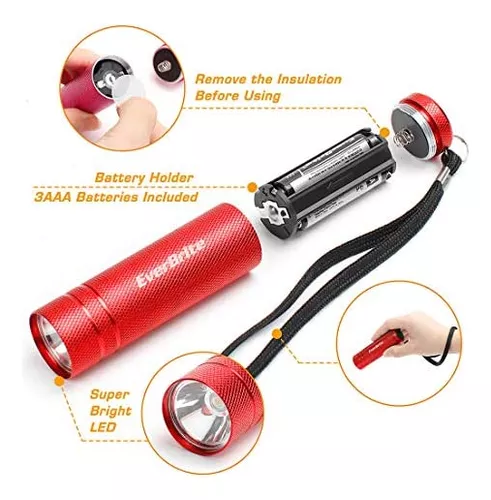 EverBrite Linterna para niños, mini linterna LED, uso de antorcha de  plástico para emergencias, camping, al aire libre con cordón 3AAA batería