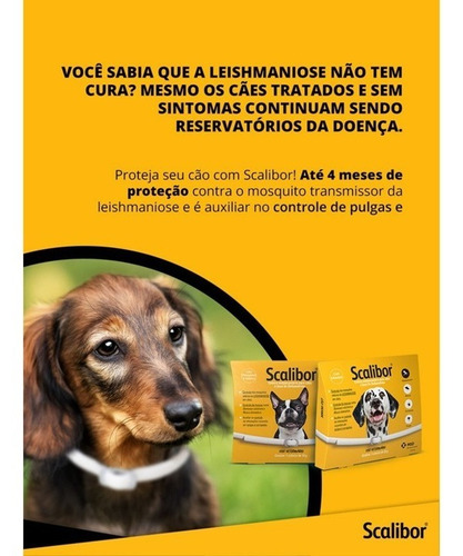 Imagem 3 de 3 de Coleira Scalibor Grande 65cm Leishmaniose E Antipulgas