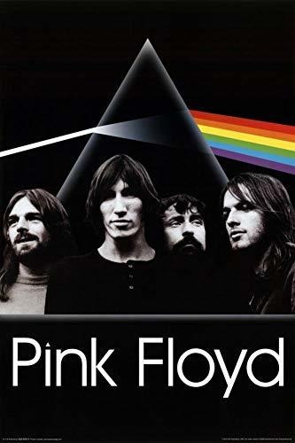 Picture Peddler Laminado Pink Floyd - Dark Side Of The Moon 