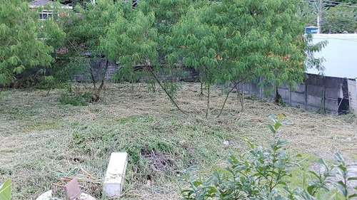 Imagem 4 de 4 de Terreno, 1889 M² - Venda Por R$ 2.500.000,00 Ou Aluguel Por R$ 12.000,00/mês - Saboó - Santos/sp - Te0133
