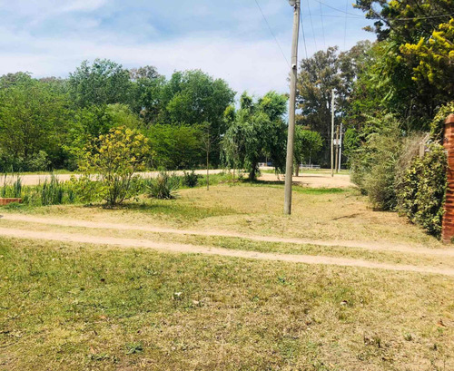 Imagen 4 de 14 de Quinta En Venta En Marcos Paz Con Gran Terreno