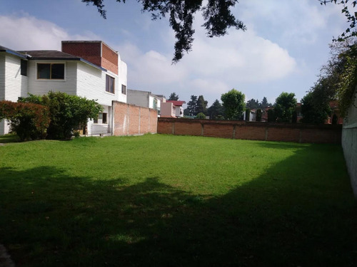 Imagen 9 de 13 de Terreno - San Carlos