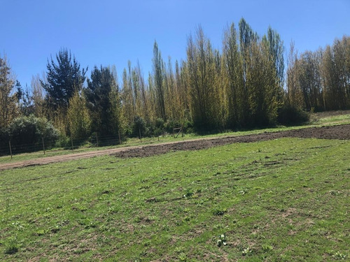 Imagen 6 de 9 de Excelentes Sitios Sector Unihue, Santa Juana