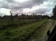 Imagen 2 de 3 de Campo - Ezeiza