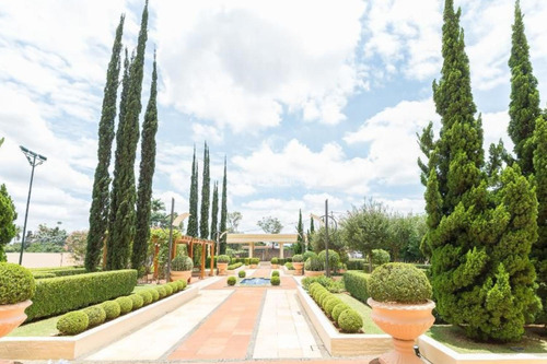 Imagem 2 de 30 de Apartamento À Venda Em Chácara Primavera - Ap080946