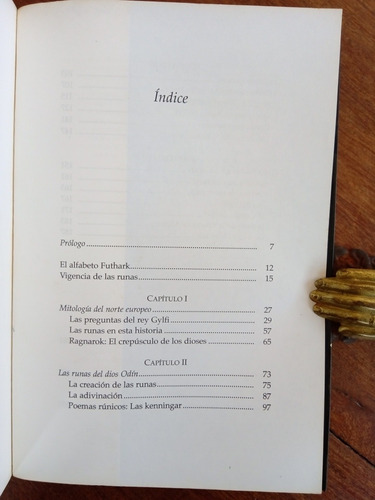 Imagen 3 de 6 de Libro Mágico De Las Runas Oráculo Vikingo - Fabiana Daversa