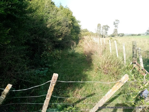 Venta Campo Aiguá
