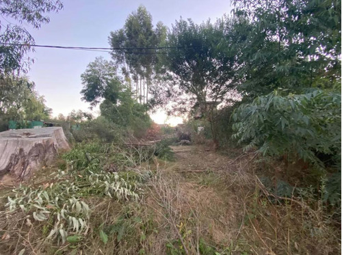 Terreno - Balneario Buenos Aires