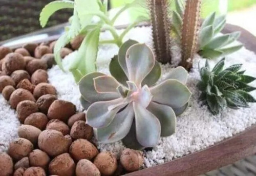 Argila Expandida Terra Nobre Vasos/jardim/decoração - 500 G