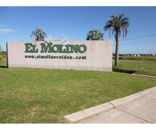 Lotes En Venta En El Molino - Roldán 