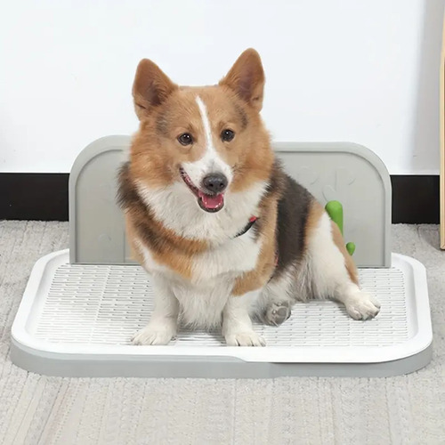 Tapete Entrenador Perro Lavable Con Pared 63x49x24 Ajolopet