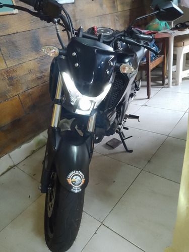 Fz15