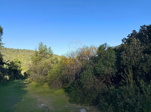 ¡oportunidad! Parcela Semiplana De 5.000 M2 Con Rol Propio