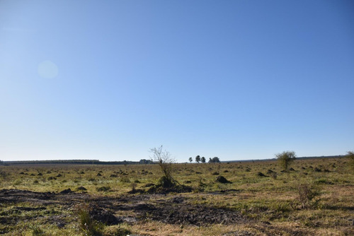 Imagen 3 de 22 de Campo Mixto En Venta Estación Yeruá
