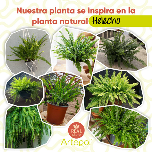 Planta Artificial Moderna Con Maceta Decorativa Real Style Helecho Compacta De 36cm De Alto Artego Para Hogar Sala Comercio Oficina