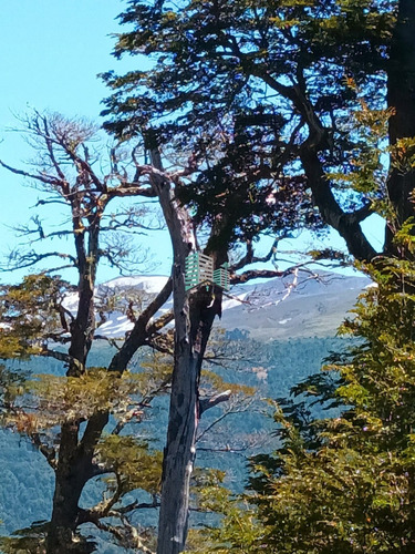 Hermosa Parcela En Los Refugios De Coñaripe