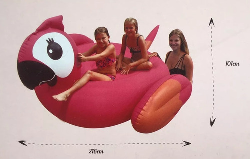 Imagem 3 de 3 de Papagaio Inflável Gigante Adulto Piscina Praia Lagoa