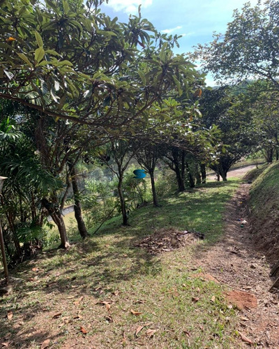 Imagem 17 de 17 de Chácara - Ch00948 - 69912485